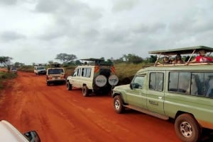 Safari di 2 giorni alla fauna selvatica nel Parco Tsavo Est e Tsavo Ovest