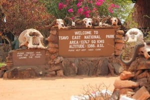 Safari di 2 giorni alla fauna selvatica nel Parco Tsavo Est e Tsavo Ovest