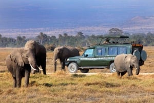 Safari di 2 giorni nel parco Tsavo Est e Tsavo Ovest