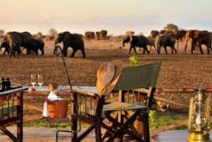 Safari di 2 giorni nel parco Tsavo Est e Tsavo Ovest