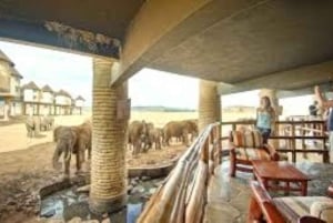 Safari di 2 giorni nel parco Tsavo Est e Tsavo Ovest