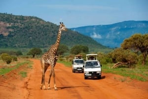 Safari di 2 giorni nel parco Tsavo Est e Tsavo Ovest