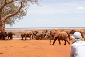 Safari di 2 giorni nel parco Tsavo Est e Tsavo Ovest