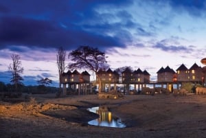 Safari di 2 giorni nel parco Tsavo Est e Tsavo Ovest