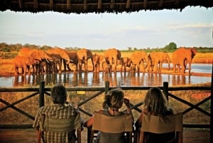 Safari di 2 giorni nel parco Tsavo Est e Tsavo Ovest