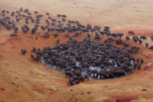 Safari di 2 giorni nel parco Tsavo Est e Tsavo Ovest