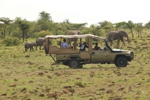 Safari di 2 giorni nel parco Tsavo Est e Tsavo Ovest