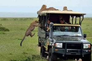 Safari di 2 giorni nel parco Tsavo Est e Tsavo Ovest