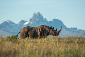 Safari di 2 giorni nel parco Tsavo Est e Tsavo Ovest