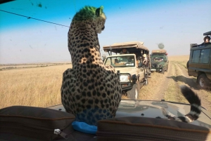 2 Nights 3 Days Maasaimara Safari