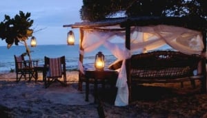 2 week - wildlife safari & beach holiday
