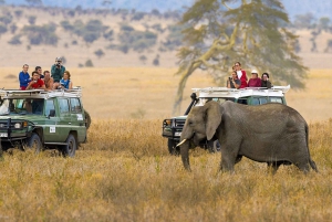 3-Day AA Lodge Amboseli Budget Safari