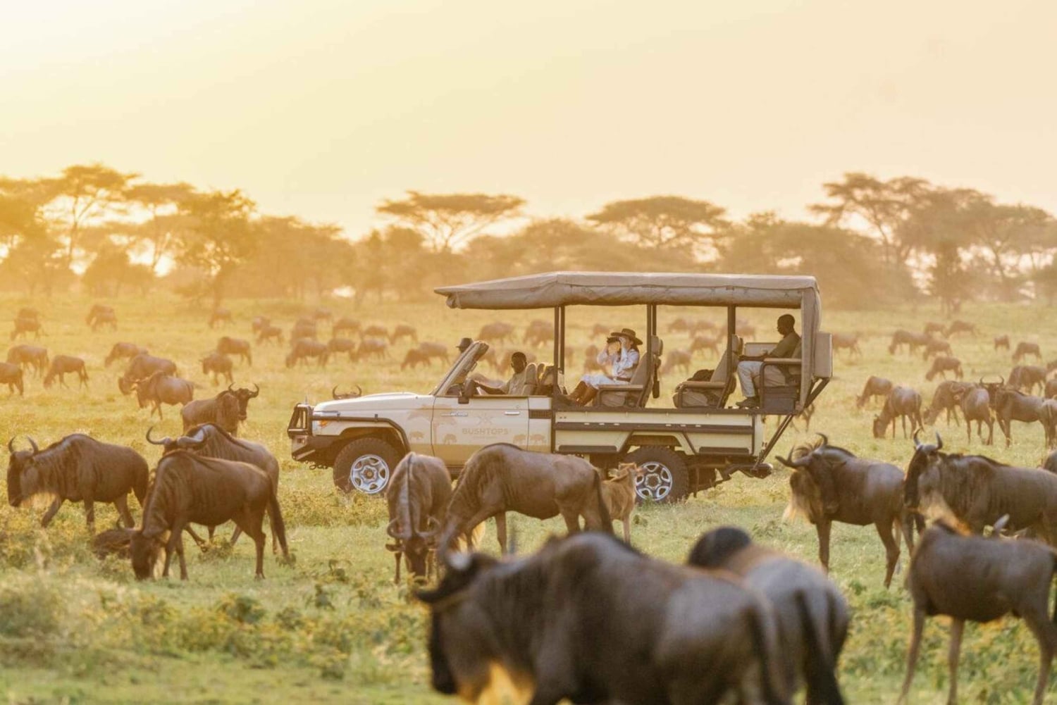 3-Day Maasai Mara Joining Safari at Sopa Luxury Lodge