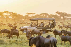 3-dages Maasai Mara-safari på Sopa Luxury Lodge