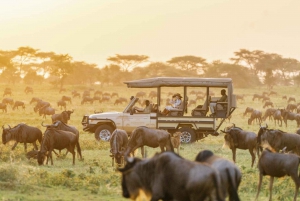 3-dniowe safari Maasai Mara w Sopa Luxury Lodge