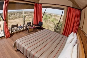3-Day Maasai Mara Luxury Safari - Experience Kenya by Air