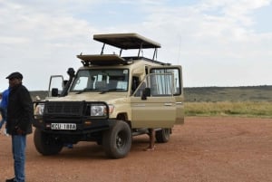 From Nairobi: 3-Day Maasai Mara Small-Group Safari by 4WD