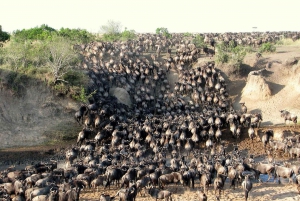 Von Nairobi aus: 3-tägige Maasai Mara Kleingruppen-Safari mit 4WD