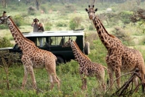 3-Day Masai Mara and Lake Naivasha Safari by 4x4 Jeep