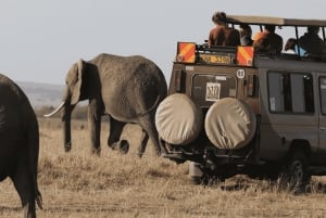 3-Day Masai Mara and Lake Naivasha Safari by 4x4 Jeep