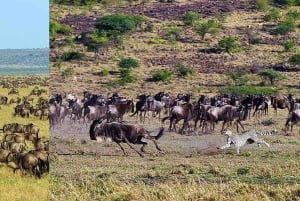 3-Day Masai Mara and Lake Naivasha Safari by 4x4 Jeep
