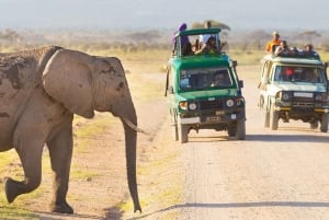 3-Day Masai Mara and Lake Naivasha Safari by 4x4 Jeep