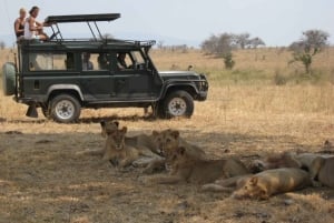 3-Day Masai Mara and Lake Naivasha Safari by 4x4 Jeep