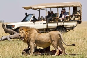 3-Day Masai Mara and Lake Naivasha Safari by 4x4 Jeep