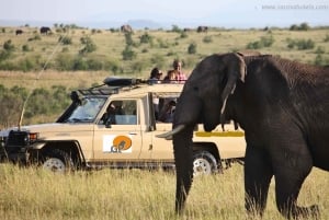 3-Day Masai Mara and Lake Naivasha Safari by 4x4 Jeep