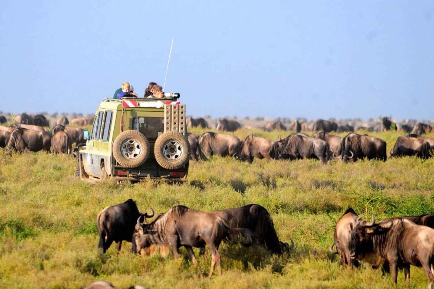Safari de 3 jours au Masai Mara et au lac Naivasha en Jeep 4x4