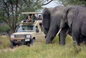 3-dagers Masai Mara og Lake Naivasha-safari med 4x4-jeep
