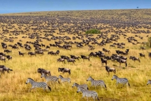 Safari de 3 días a Masai Mara y Lago Naivasha en 4x4