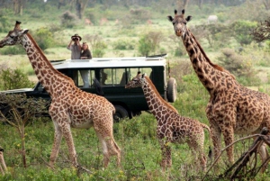 3-dagars Masai Mara & Lake Naivasha safari med 4x4-jeep
