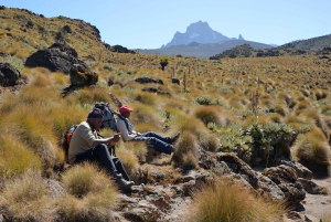 3-dages klatreeventyr på Mount Kenya: Erobre toppene