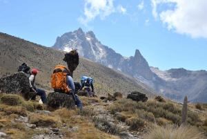 3-dages klatreeventyr på Mount Kenya: Erobre toppene