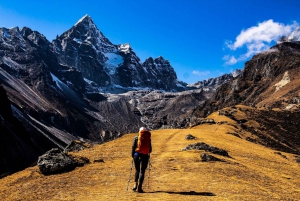 '3-Day Mt. Kenya Climbing Adventure Trip'