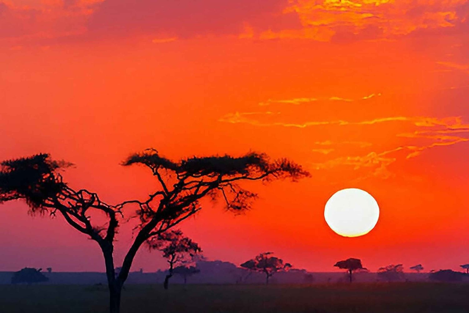 3-Day Serengeti & Ngorongoro Safari from Nairobi