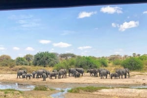 3-Day Serengeti & Ngorongoro Safari from Nairobi