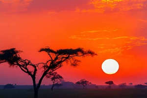 3-Day Serengeti & Ngorongoro Safari from Nairobi