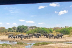 3-Day Serengeti & Ngorongoro Safari from Nairobi