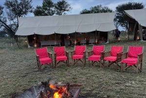 Safari de 3 días en el Serengeti desde Nairobi