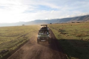 3-Day Small Group Safari to Maasai Mara: Adventure Awaits