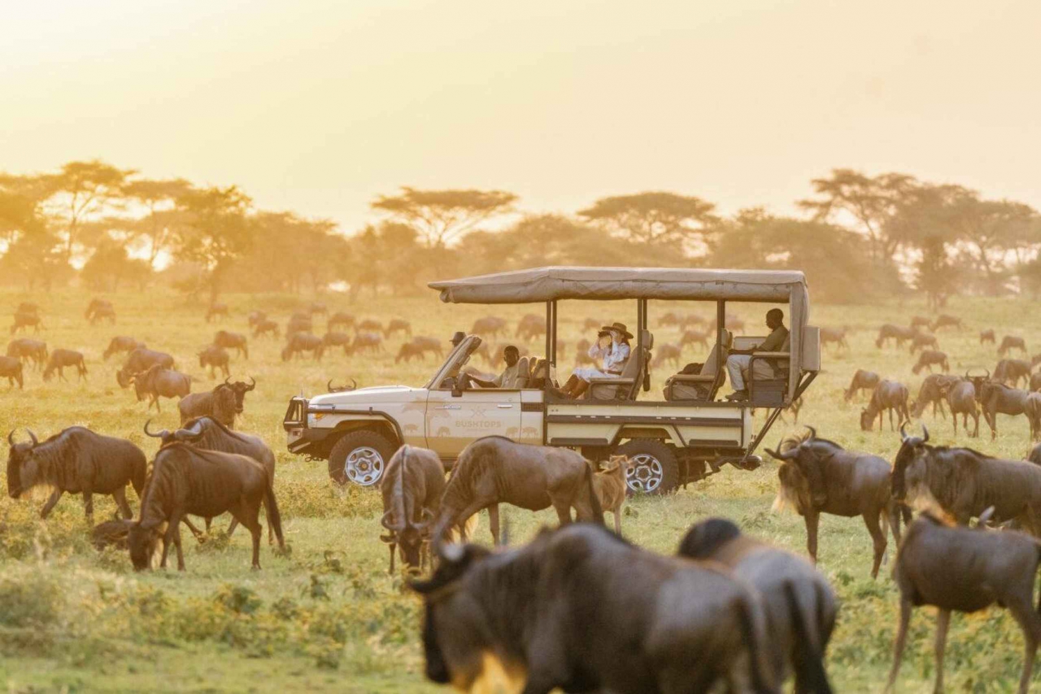 3-dniowa wycieczka do słynnego Maasai Mara - średni wybór