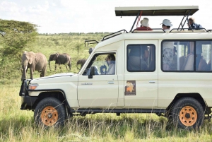 Tsavo Explorer Tour