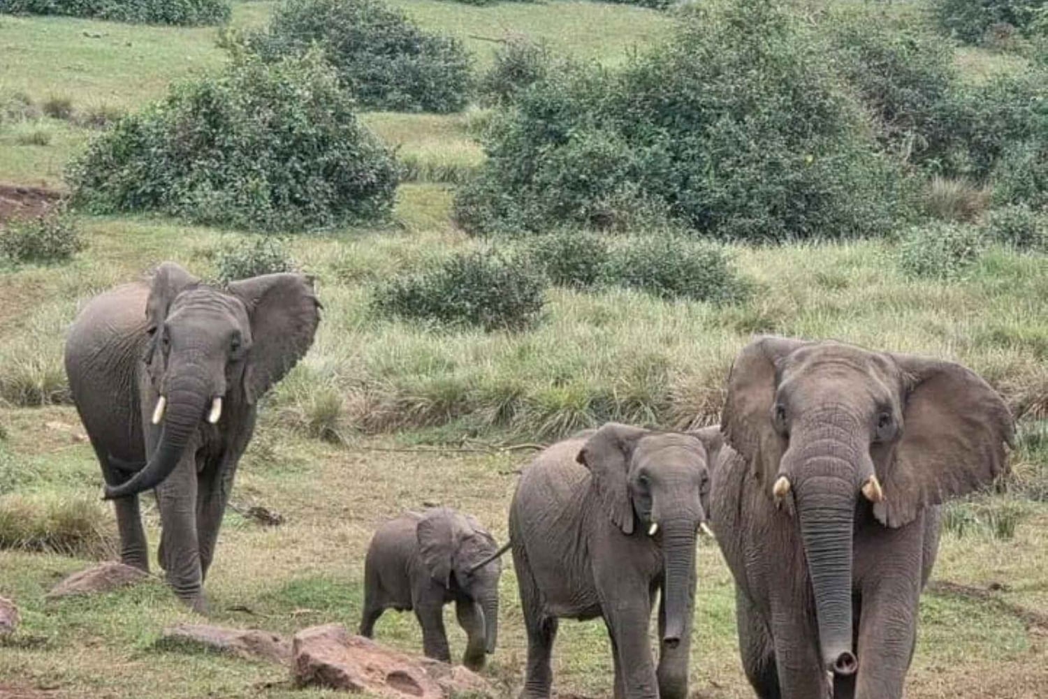 3 dni, 2 noce przygody w Parku Narodowym Aberdare