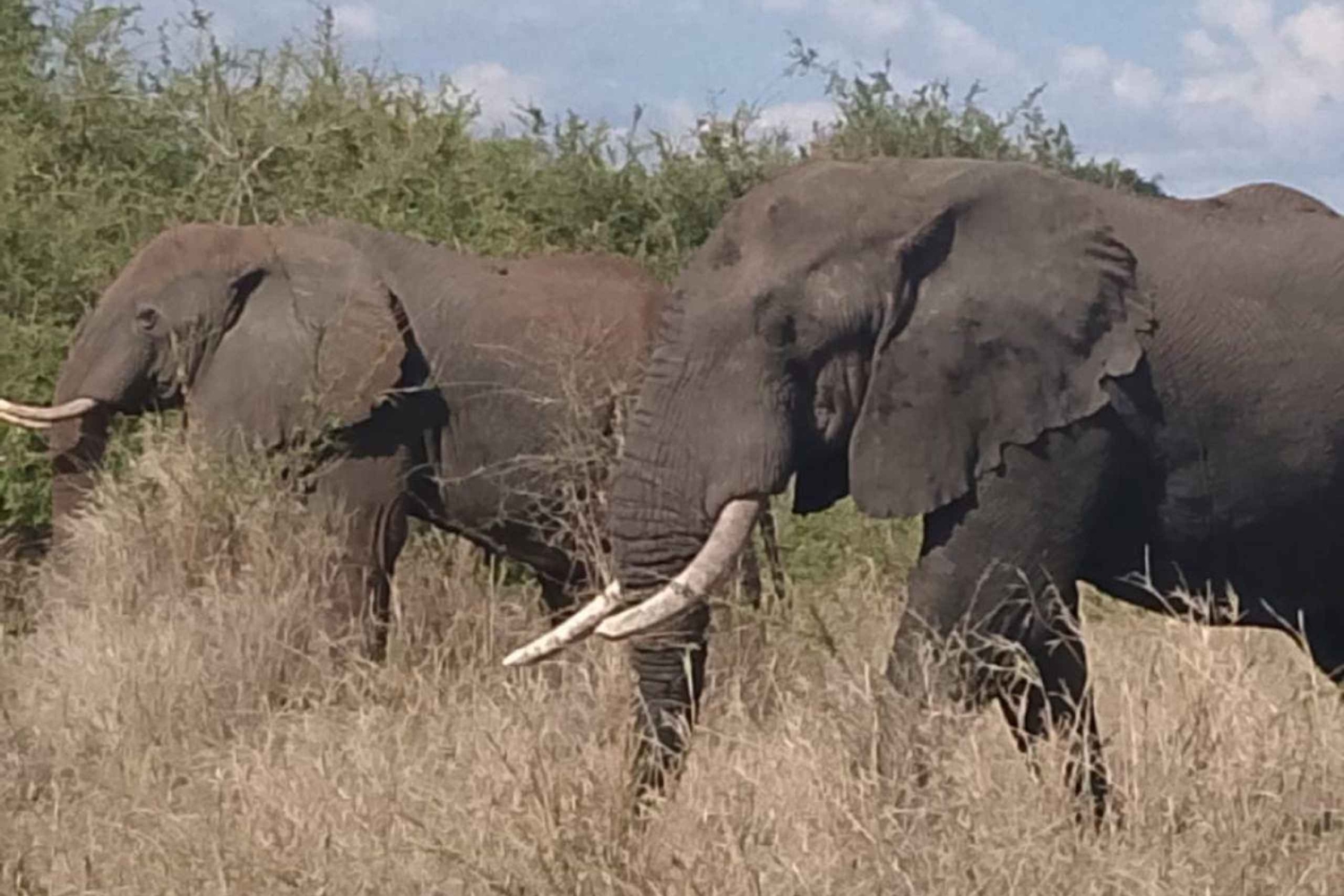 3 dni, 2 noce przygody w Parku Narodowym Aberdare