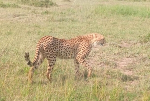 3 dni, 2 noce przygody w Parku Narodowym Aberdare