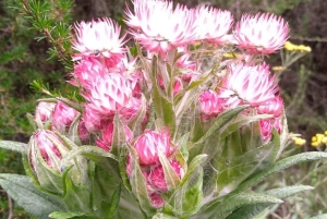 3 dni, 2 noce przygody w Parku Narodowym Aberdare