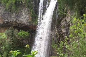 3 dni, 2 noce przygody w Parku Narodowym Aberdare