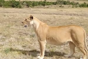 3 dni, 2 noce przygody w Parku Narodowym Aberdare